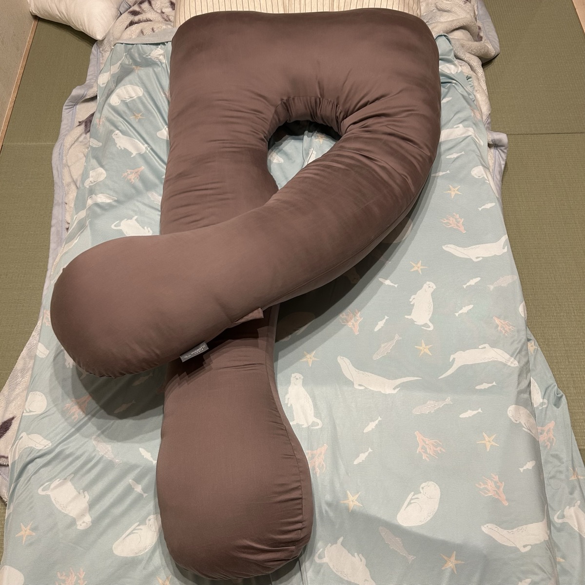 ハグモッチの片側を折り曲げて形を変えた様子